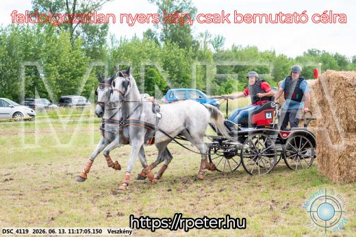 Mintakép 20260613-350
