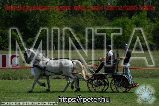 Mintakép 20260531-2951