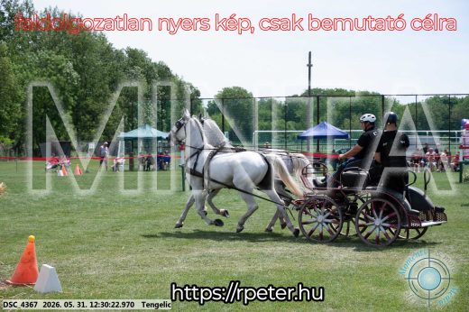Mintakép 20260531-2952