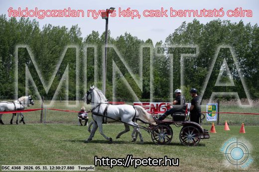 Mintakép 20260531-2953
