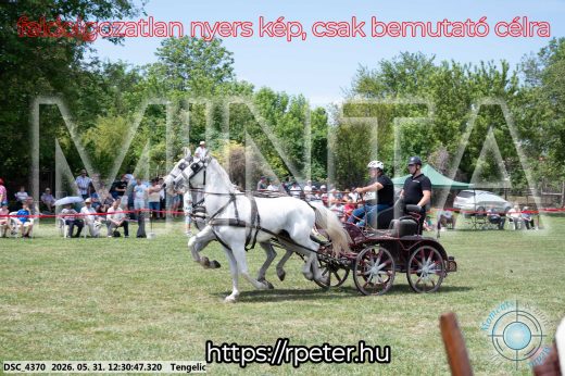 Mintakép 20260531-2955