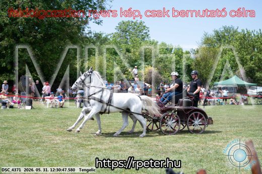 Mintakép 20260531-2956