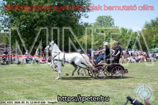 Mintakép 20260531-2957