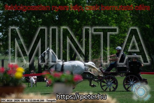 Mintakép 20260531-2958