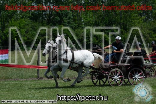 Mintakép 20260531-2960
