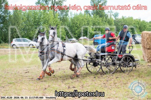 Mintakép 20260613-351