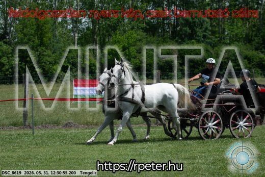 Mintakép 20260531-2961