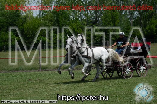Mintakép 20260531-2963