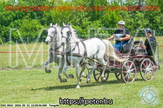 Mintakép 20260531-2964