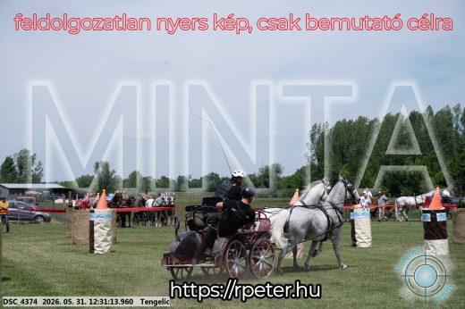 Mintakép 20260531-2966