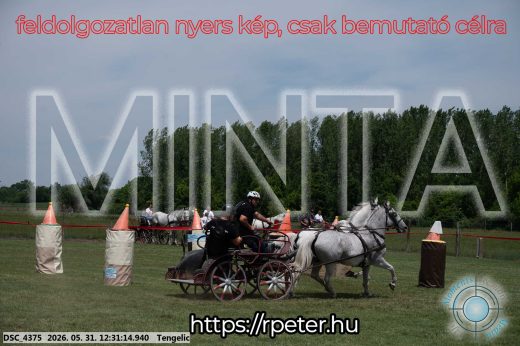 Mintakép 20260531-2967