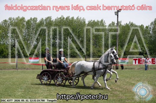 Mintakép 20260531-2968