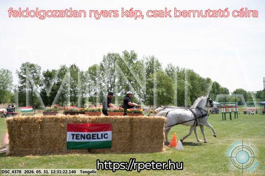 Mintakép 20260531-2969