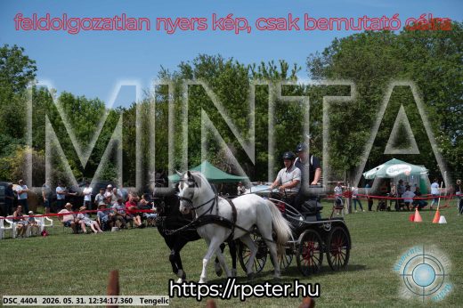 Mintakép 20260531-2970