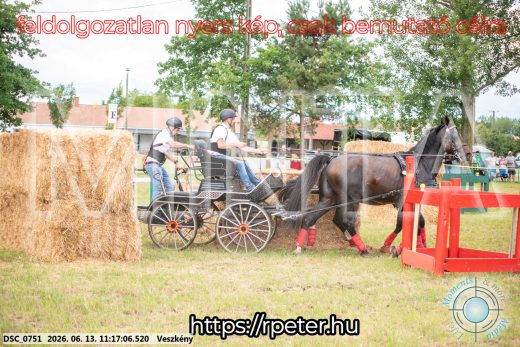 Mintakép 20260613-352