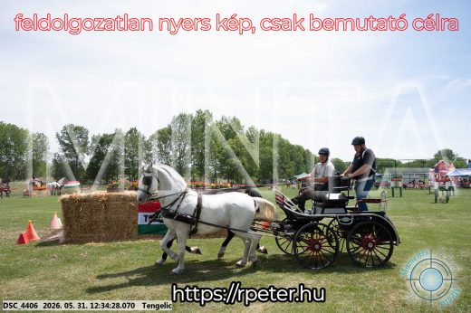 Mintakép 20260531-2972