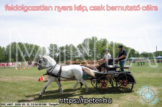 Mintakép 20260531-2973