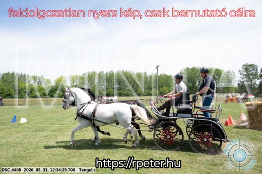 Mintakép 20260531-2974
