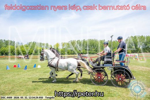 Mintakép 20260531-2975