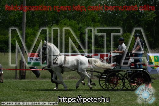 Mintakép 20260531-2978