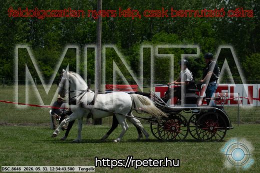 Mintakép 20260531-2979