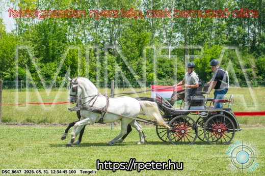 Mintakép 20260531-2980