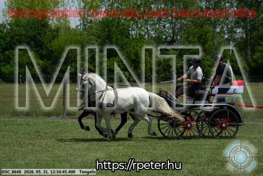 Mintakép 20260531-2981