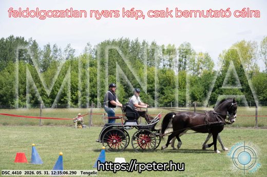 Mintakép 20260531-2983