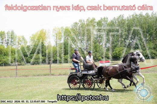 Mintakép 20260531-2985