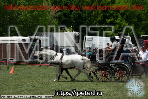 Mintakép 20260531-2988