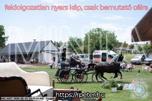 Mintakép 20260531-2989