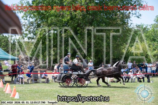 Mintakép 20260531-2990