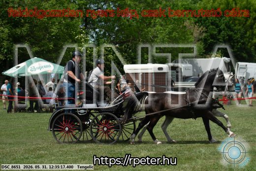 Mintakép 20260531-2991