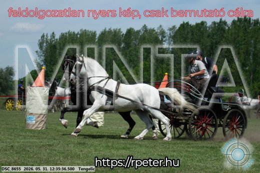 Mintakép 20260531-2995