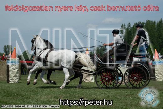 Mintakép 20260531-2996