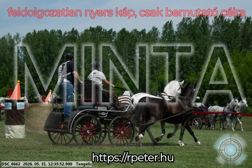 Mintakép 20260531-3001