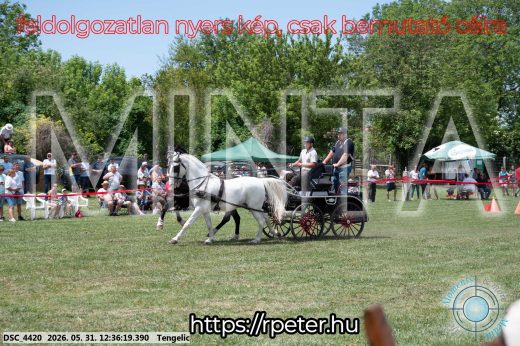 Mintakép 20260531-3003