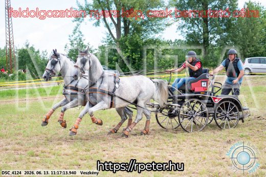 Mintakép 20260613-356