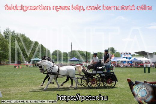 Mintakép 20260531-3012