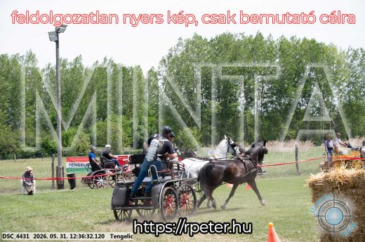 Mintakép 20260531-3014