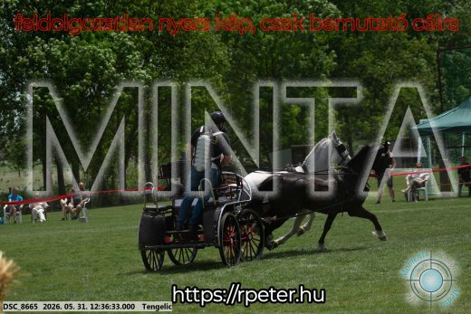 Mintakép 20260531-3015