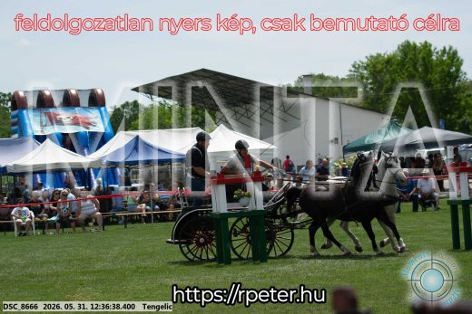 Mintakép 20260531-3016