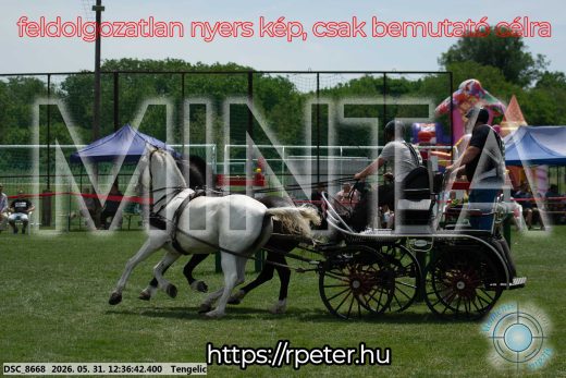 Mintakép 20260531-3018