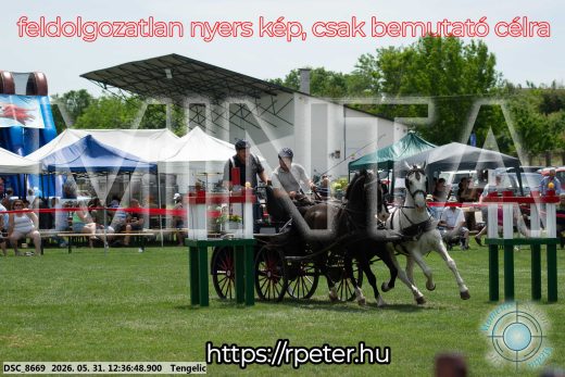 Mintakép 20260531-3019