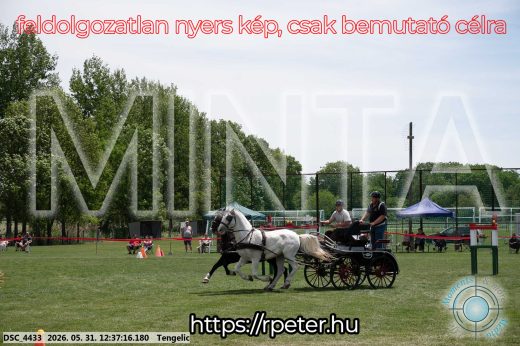 Mintakép 20260531-3020