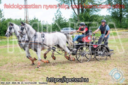 Mintakép 20260613-357
