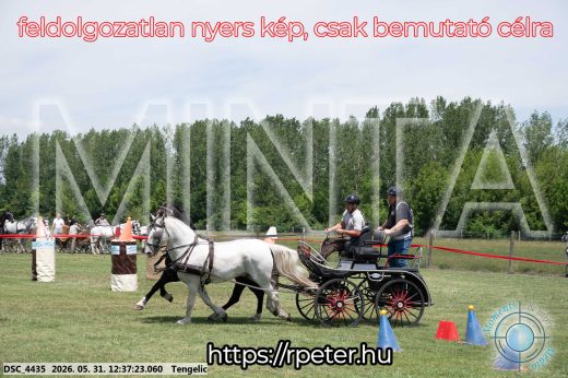 Mintakép 20260531-3022