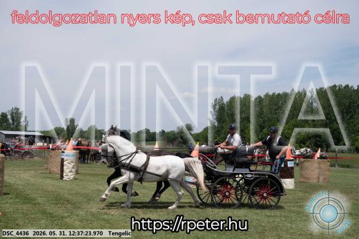 Mintakép 20260531-3023