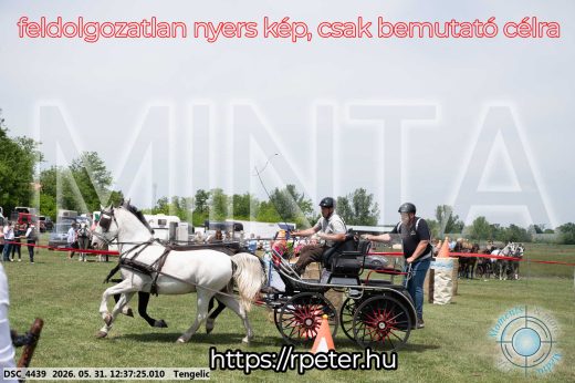 Mintakép 20260531-3025
