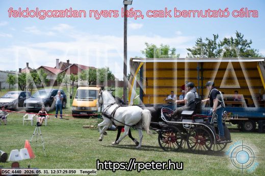 Mintakép 20260531-3026